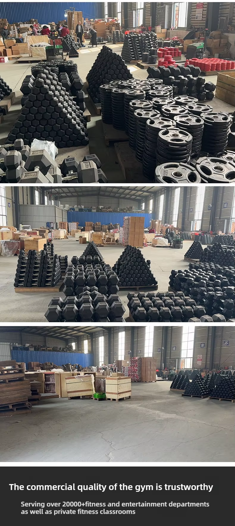 hex dumbbell workshop